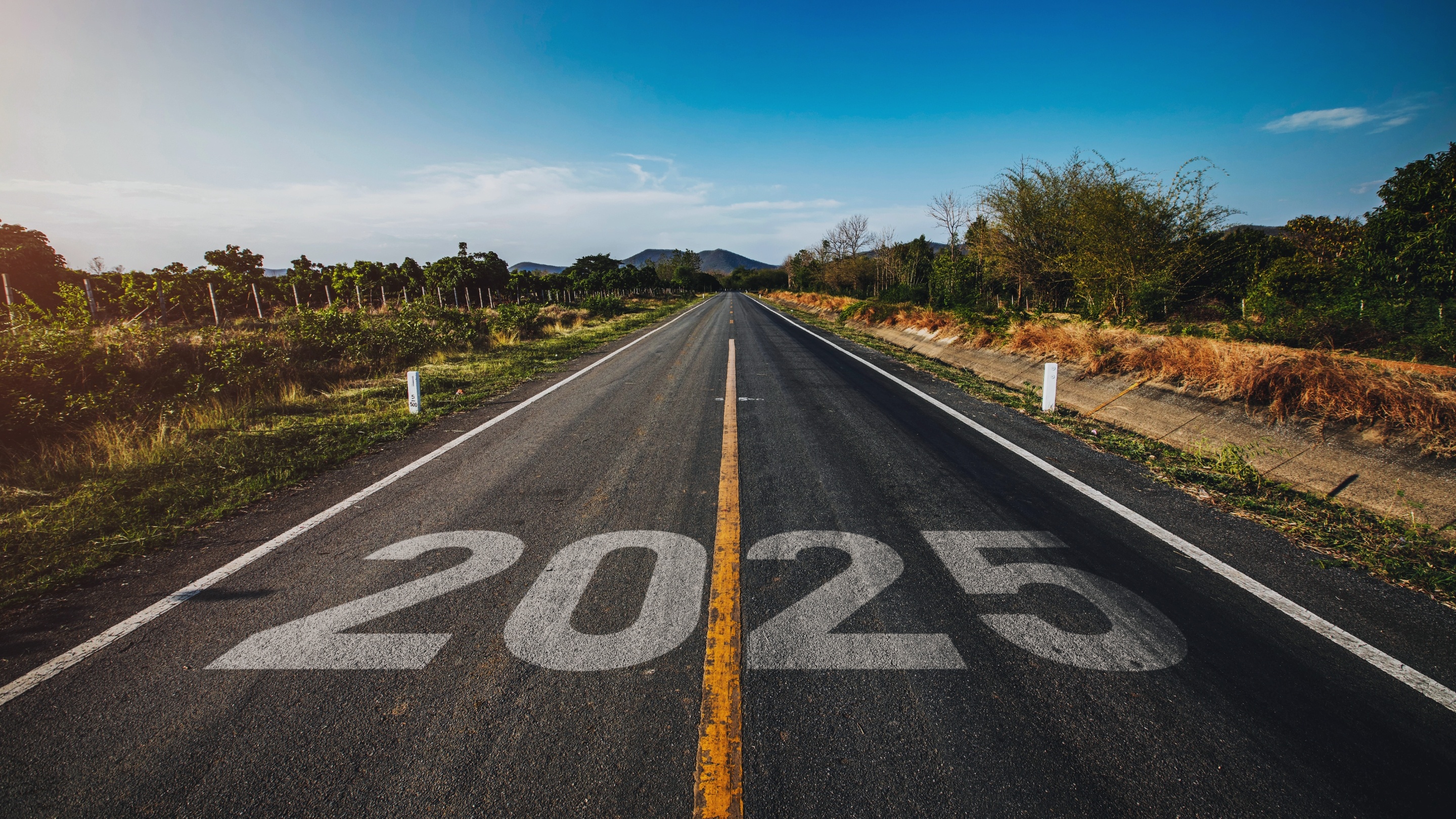 Year 2025